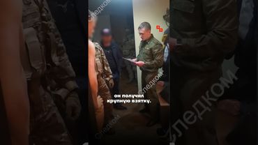 Кемеровский чиновник получил самую необычную взятку