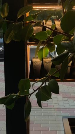 Ну что за зверь 😍#mercedes #рек #mersedesbenz #мерседес #рекомендации...