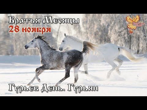 Братья месяцы 28-е ноября - Гурьев День. Гурьян