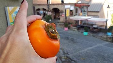 Тбилиси. Район Авлабари. Мимино. Метехи. Нарикала. Ботсад. 4-ый день