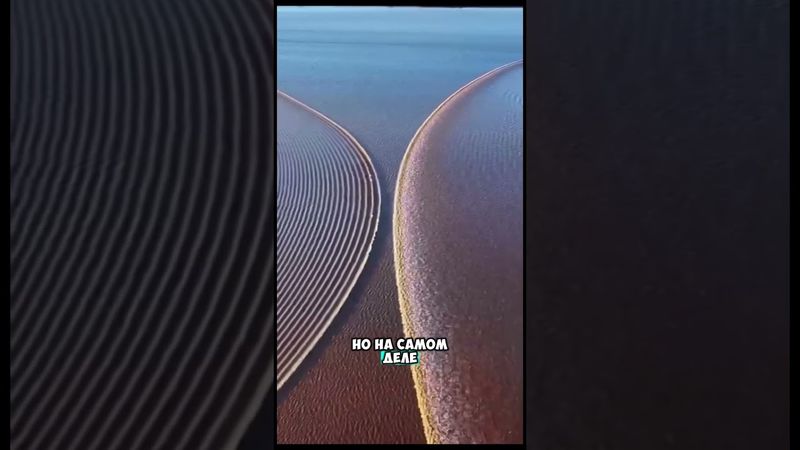 Выглядит безобидно 😮