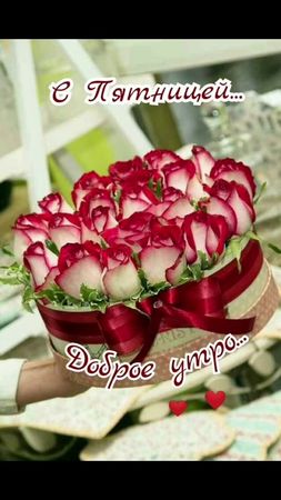 TikTok video #7063197084622671105