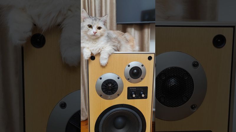 Fuji DR90 normal type Aiwa deck #dieterbohlen #disco