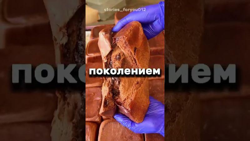 Когда готовишь мемный ролик, а оказывается, что котик уже всё порешал
