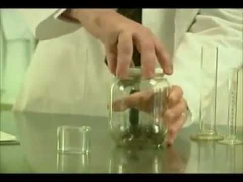 Эксперимент над мозгом