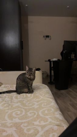 я аж прикурил 