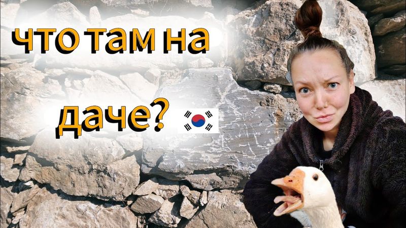 Люблю канны и ненавижу гусей ^^ KOREA VLOG