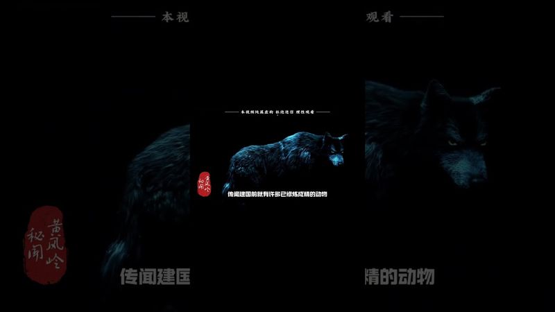 都說“建國後所有動物不可成精”那建國前成精的動物都去了哪裡？到了成精時間的動物該怎麼辦？#建國後不允許動物成精 #狐狸精 #黃大仙 #百年之約 #正能量 #玄學 #奇聞異事 #怪事 #怪談 #未解之謎