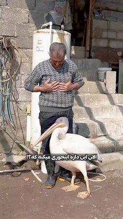 TikTok video #7482488209826467102