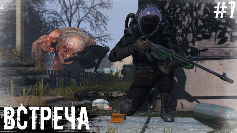 #7 Встреча | DayZ | The Twilight Zone | #survival #dayz