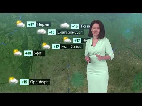 Погода в России на 23.06.2023 пт.