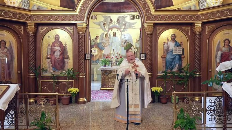 Радость ВОЗНЕСЕНИЯ!!! Священник #ГеоргийПОЛЯКОВ #записьПРОПОВЕДИ