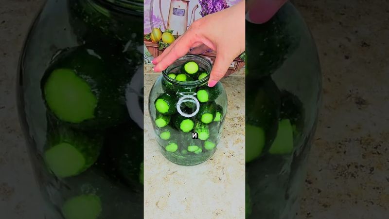 Квашеные огурцы как в бочке. хранятся при комнатной температуре без кипячения и стерилизации