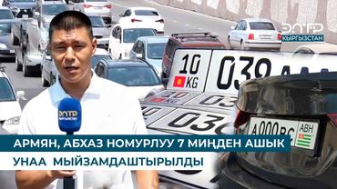 АРМЯН, АБХАЗ НОМУРЛУУ 7 МИҢДЕН АШЫК УНАА  МЫЙЗАМДАШТЫРЫЛДЫ