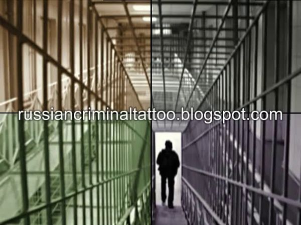 Михаил Шуфутинский - За меня невеста(песня Высоцкого)