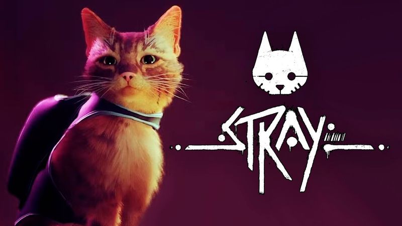 КОШАЧИЙ КИБЕРПАНК - БРЕЙН ИГРАЕТ В STRAY #2