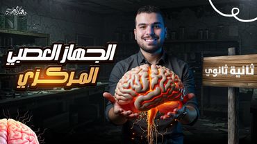 الجهاز العصبي المركزي - أحياء تانية ثانوي - المحاضرة قبل الأخيرة