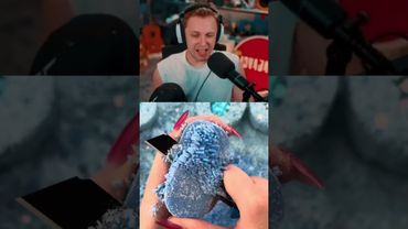 дешевый монитор #стинт #stint #stintik #прикол #реакция