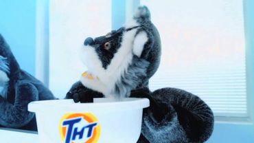 Порошок ТНТ