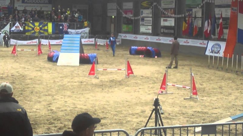 Эстафета Иванова, Соловьева и Канцлер  двоеборье аджилити ЧМ Голпндия