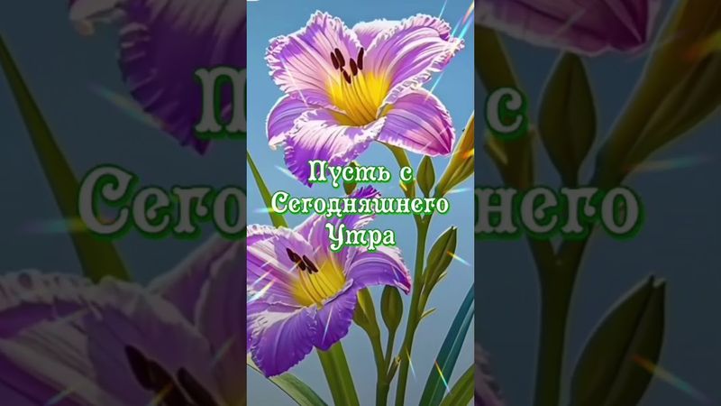 Доброе утро! Красивоепожелание#видео#красиваямузыка#shorts