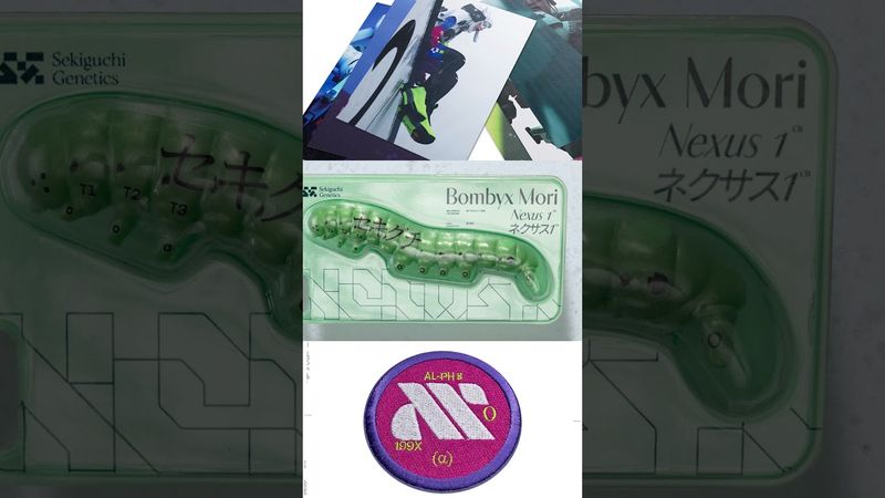 The Marathon Collector’s Edition launches March 5