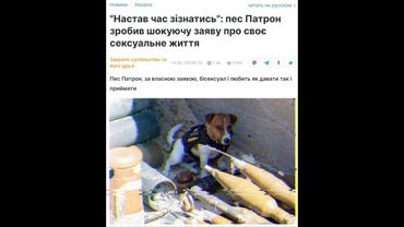 ПЕС ПАТРОН (´• ω •`) ♡