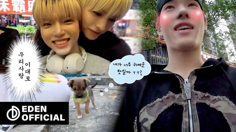 정저우에 가면 〰️🎵 야시장도 가고🍜 뷔페도 가고🍴 | ALL(H)OURS(올아워즈) in Zhengzhou