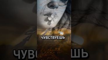 t.me/life_quotes_2025#shorts #успех #вдохновение#мудрость#цитаты #успех #video #жизнь