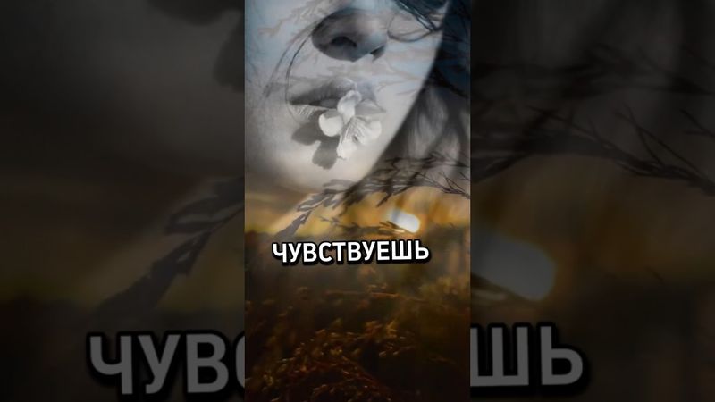 t.me/life_quotes_2025#shorts #успех #вдохновение#мудрость#цитаты #успех #video #жизнь