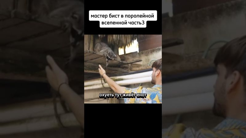 мистер бист в поролейной вселенной часть 3 #рекомендации #мем #memes #meme #shorts #мемы #прикол