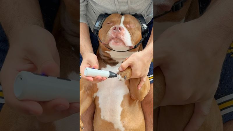 He’s just a chill guy 🙂‍↔️