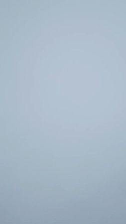 Как нарисовать мишку #творчестводлядетей #бумажноетворчество #развлеч...