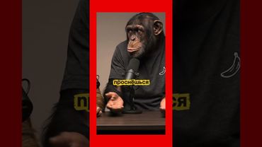 Целитель Пётр #целительпётр #целитель #цілитель #celitelpetr #целительство #исцеление #пётрцелитель