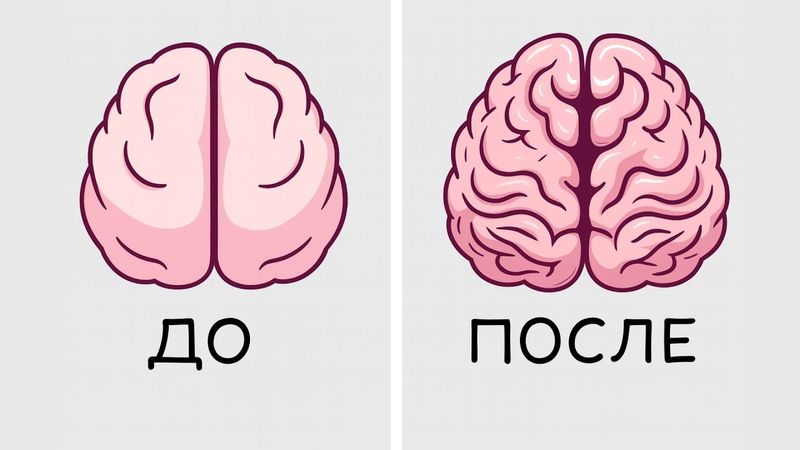 7 простых упражнений для мозга, чтобы развить память и концентрацию