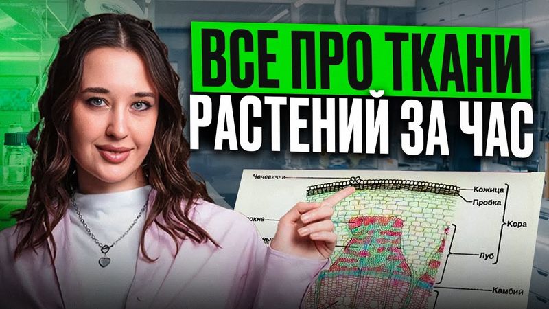 БОТАНИКА с НУЛЯ для ОГЭ и ЕГЭ по био / Виды ТКАНЕЙ РАСТЕНИЙ для ОГЭ и ЕГЭ по биологии