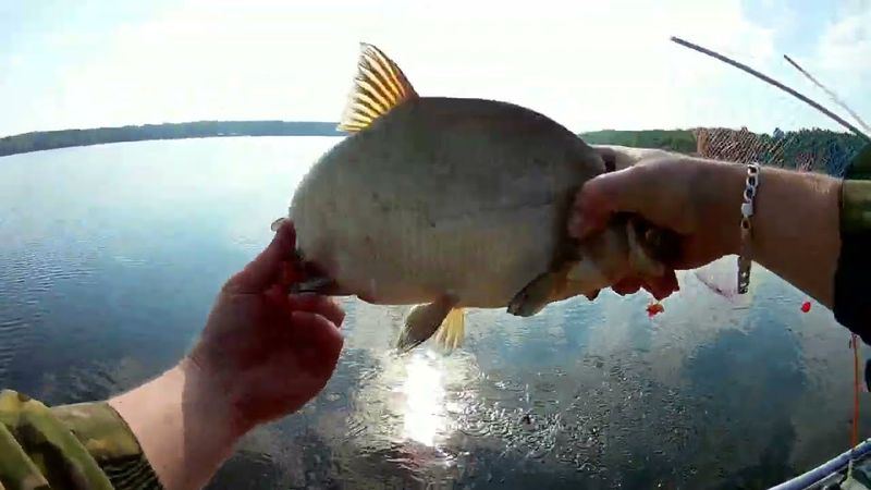 ЛОВЛЯ ЛЕЩА С ЛОДКИ.ОТКРЫТИЕ СЕЗОНА 2023.