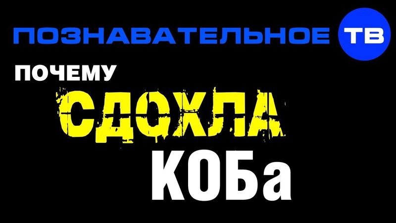 Почему сдохла КОБа?