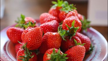 Plodovi zemlje, 25. svibnja 2025.