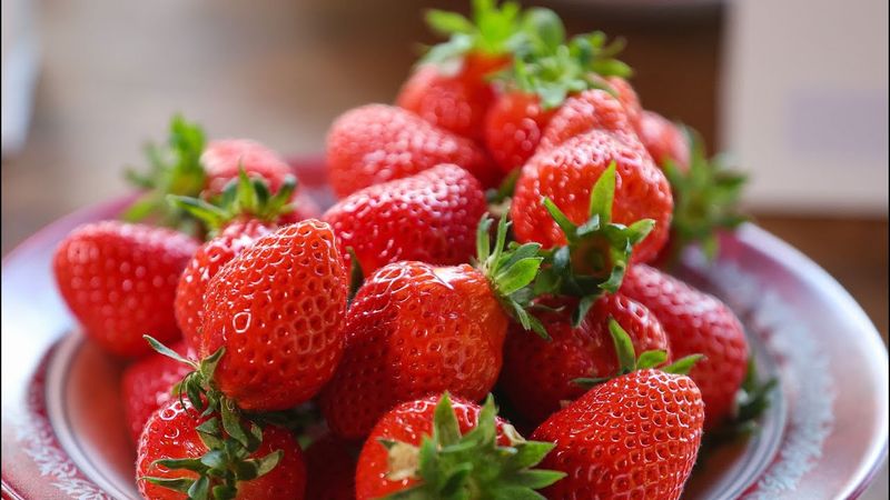 Plodovi zemlje, 25. svibnja 2025.