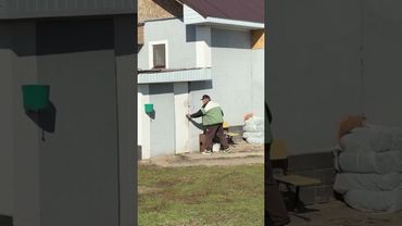 Пранк собака 🤣❤️