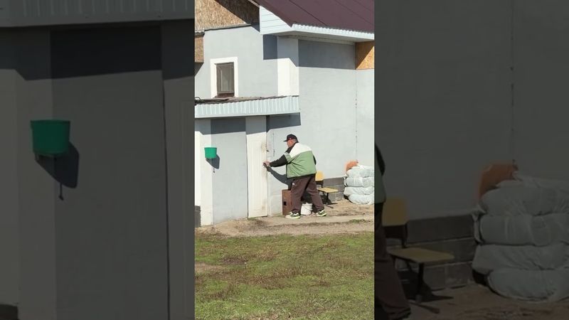 Пранк собака 🤣❤️