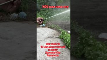 Мойка апарат акция 10 метр