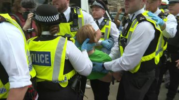 Police arrest demonstrators supporting Palestine Action in London | AFP