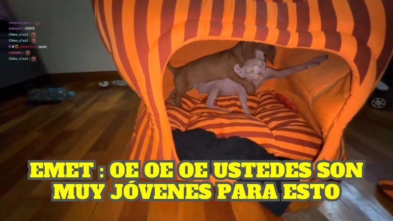 EMETSUKI ENCUENTRA A MOSTAZA Y BILLS HACIENDO COSAS RARAS