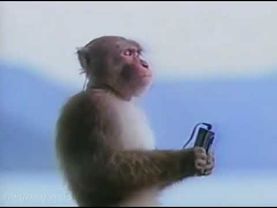 Monkey listening to music