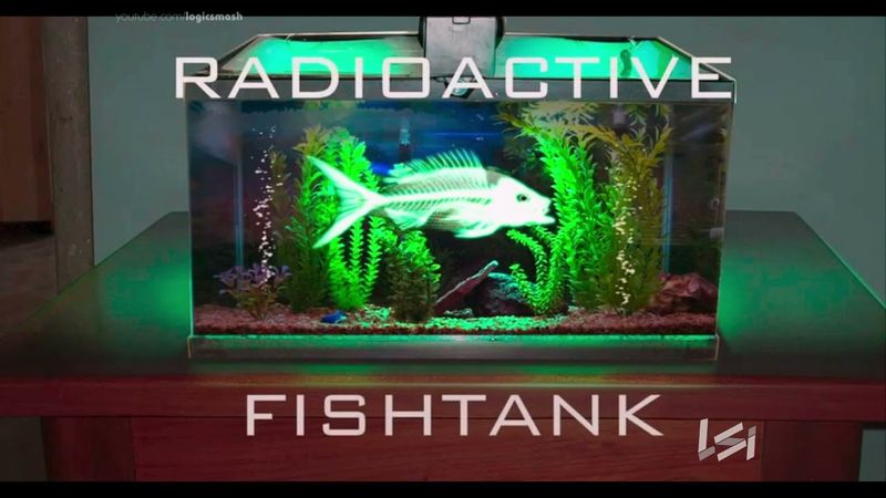 Lay Carnagey Entertainment/Radioactive Fishtank/Joblo Movie Productions