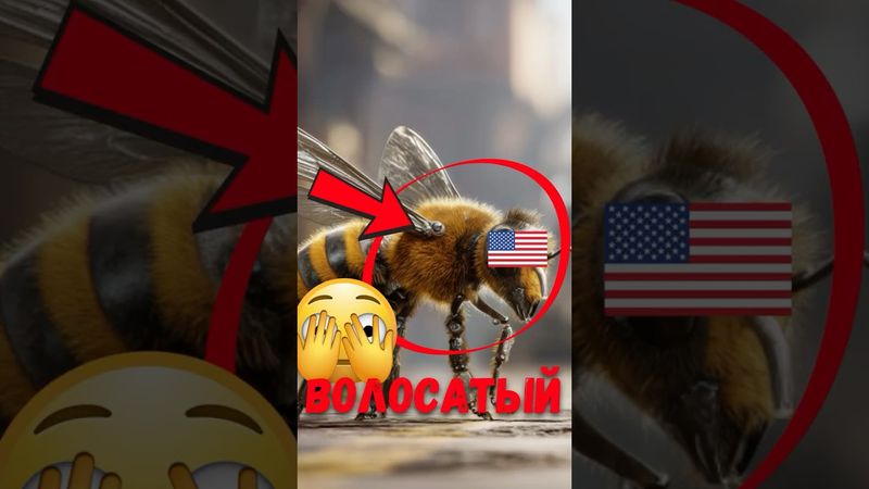 🐝 Почему пчеловод бросает пчёл в воду? #природа #пчёлы