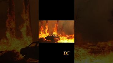 Spanyol, Portugal, dan Yunani berjuang melawan kebakaran hutan karena gelombang panas diperkiraka...