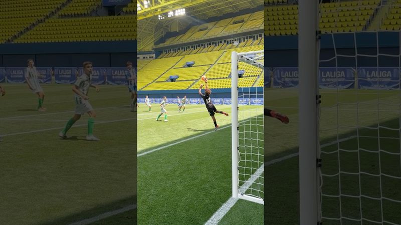 What a view! Amazing SAVE! Real Betis 😮‍💨